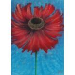 Kelly Jane (British, b.1956) Red Flower signed (lower right), pastel 37 x 27cm (14.5" x 10.5")