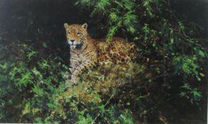 David Shepherd, OBE, FRSA, (British, 1931-2017) 'Jaguar' signed and numbered 113/850 in pencil,