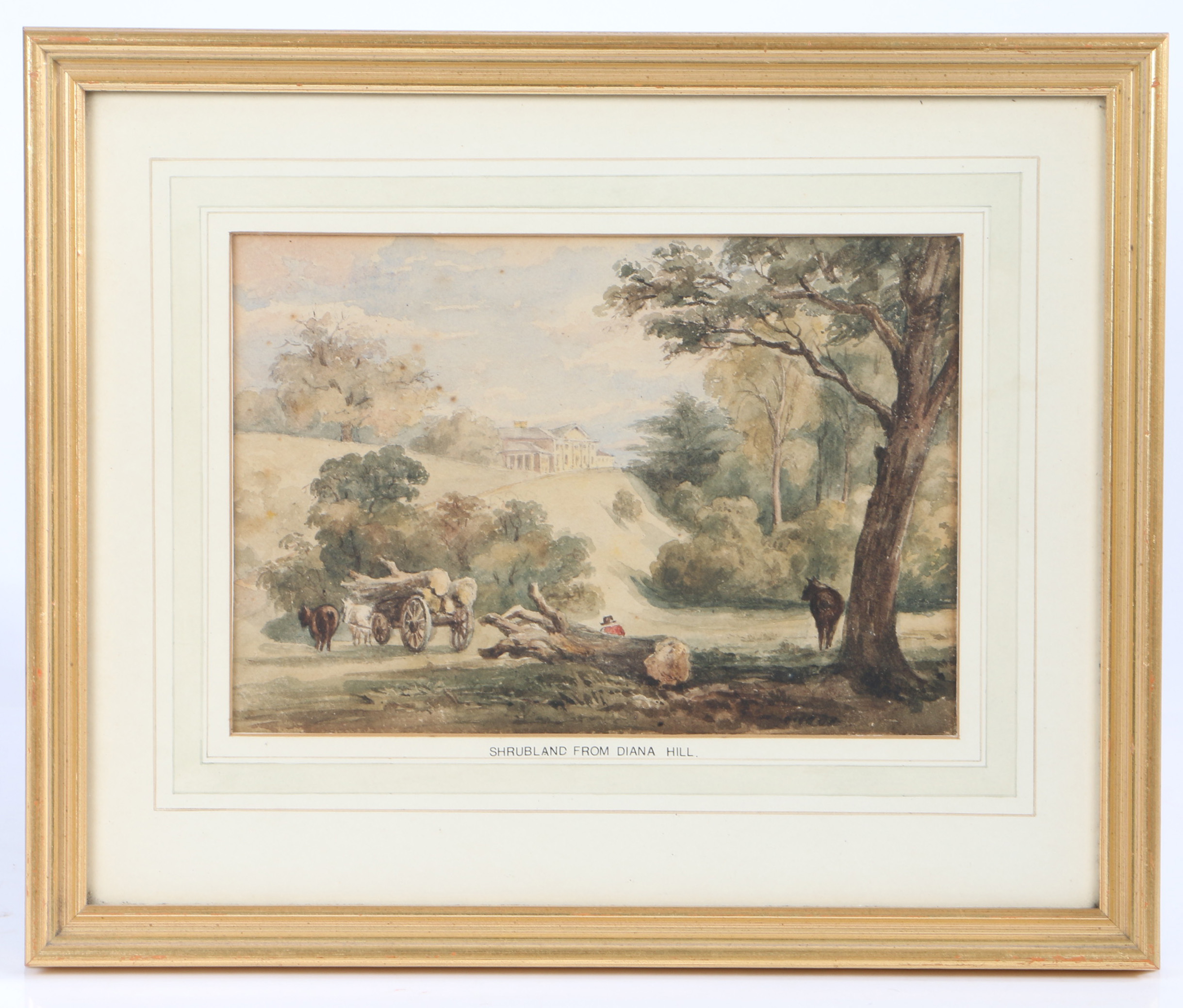 **CLIENT TO COLLECT 05/10/23** Thomas Churchyard (British, 1798-1865) 'Shrubland from Diana Hill'