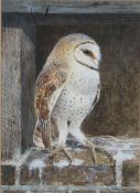 Colin W Burns  (British, B.1944) "Barn Owl" signed (lower right), watercolour 18 x 12cm (7" x 5") '