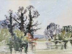 Doreen Allen (British, 1916-2000) "Village Pond in Spring" signed (lower right), watercolour 26 x