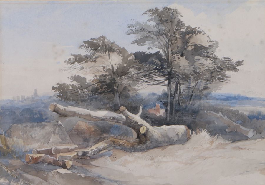 Attributed to John Middleton (British, 1827-1856) Fallen Tree watercolour 23 x 33cm (9" x 13")