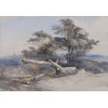 Attributed to John Middleton (British, 1827-1856) Fallen Tree watercolour 23 x 33cm (9" x 13")