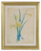 Emily Stannard (British, 1803-1885) "A Bunch of Single Daffodils tied with a Blue Ribbon"