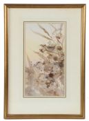 Colin W Burns  (British, B.1944) "Winter Reeds & Wren" signed (lower left), watercolour 30 x 16cm (