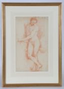 Old Master School (18th Century) Male Nude unsigned, rouge drawing 38 x 22cm (15" x9")