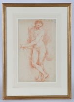 Old Master School (18th Century) Male Nude unsigned, rouge drawing 38 x 22cm (15" x9")