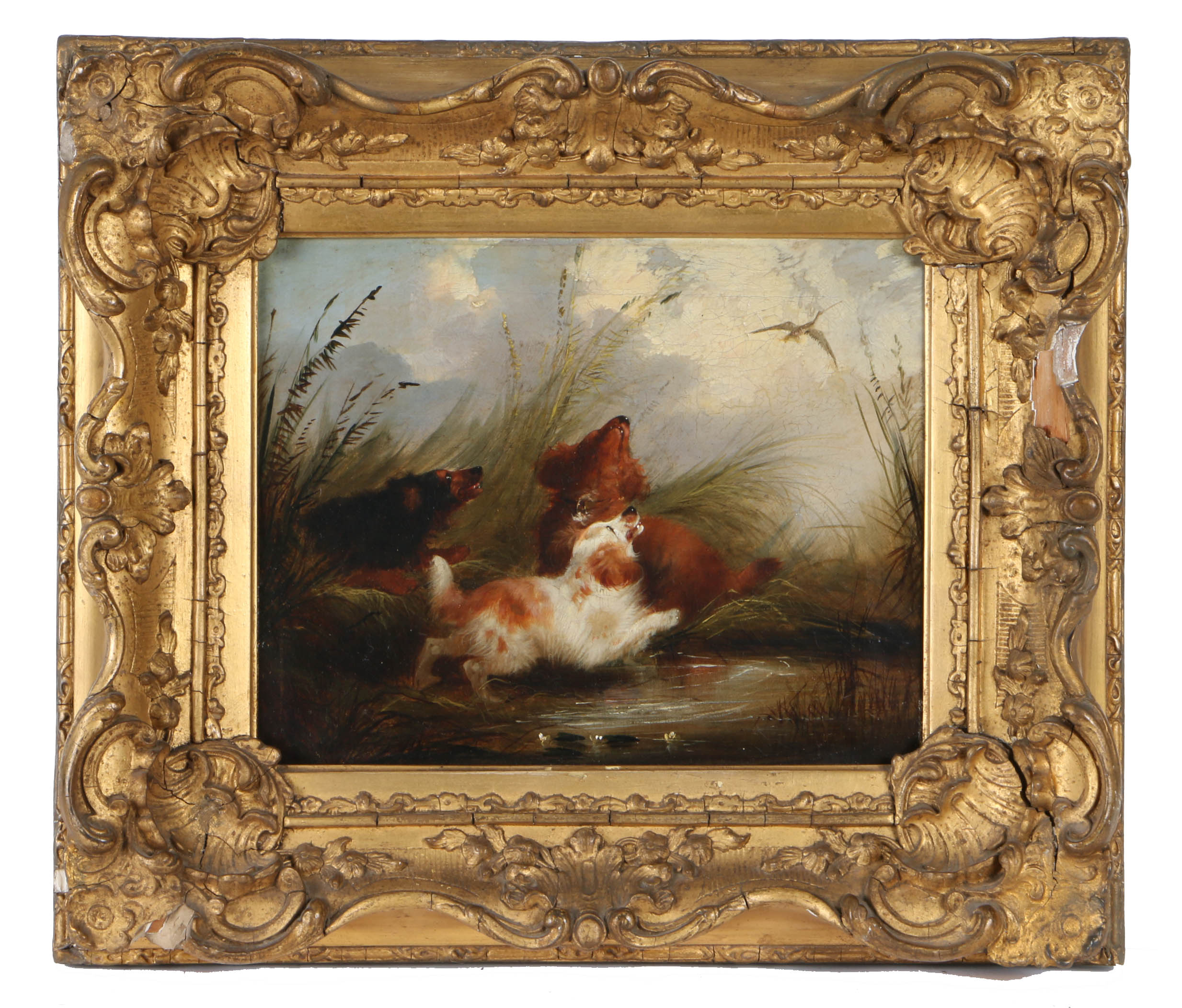 Attributed to George Armfield (British, 1808-1893) Spaniels and Terriers pair of oils on canvas 19 x - Image 2 of 3