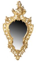 A 19th century Roccoco gilt wall mirror, having a ornately carved scroll frame, 113cm high