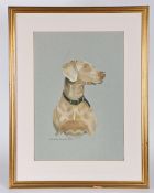 Michelle Bennett-Oates (British, Contemporary) Dog Study signed (lower left), gouache 50 x 35cm (