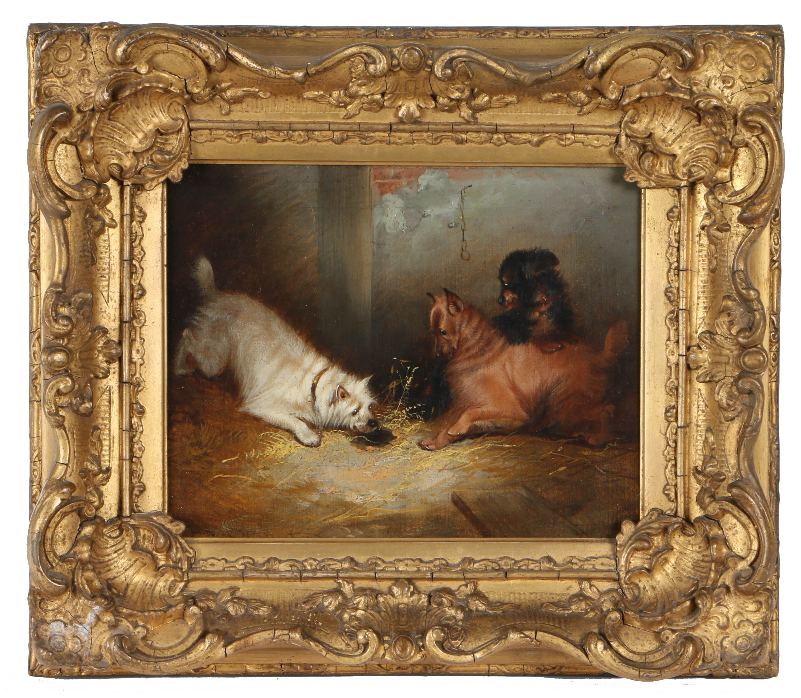 Attributed to George Armfield (British, 1808-1893) Spaniels and Terriers pair of oils on canvas 19 x - Image 3 of 3