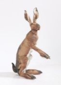 Elaine Peto, a contemporary pottery figure of a hare, modelled in a seated position with front