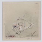 Edward Julius Detmold (British, 1883-1957) Fish signed, initialled and numbered 1/12 in pencil,