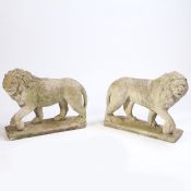 A pair of composite lions, standing position with a foot on a sphere, 69cm long, 56cm high, (2)