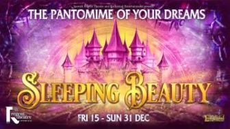 A Private box for up to four people for the opening night of Sleeping Beauty Christmas pantomime