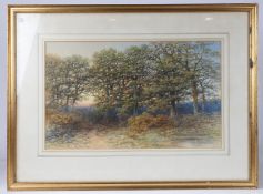 PETER DEAKIN (1830-1899) WOODLAND SCENE, SIGNED (LOWER LEFT), WATERCOLOUR 32 X 52CM.