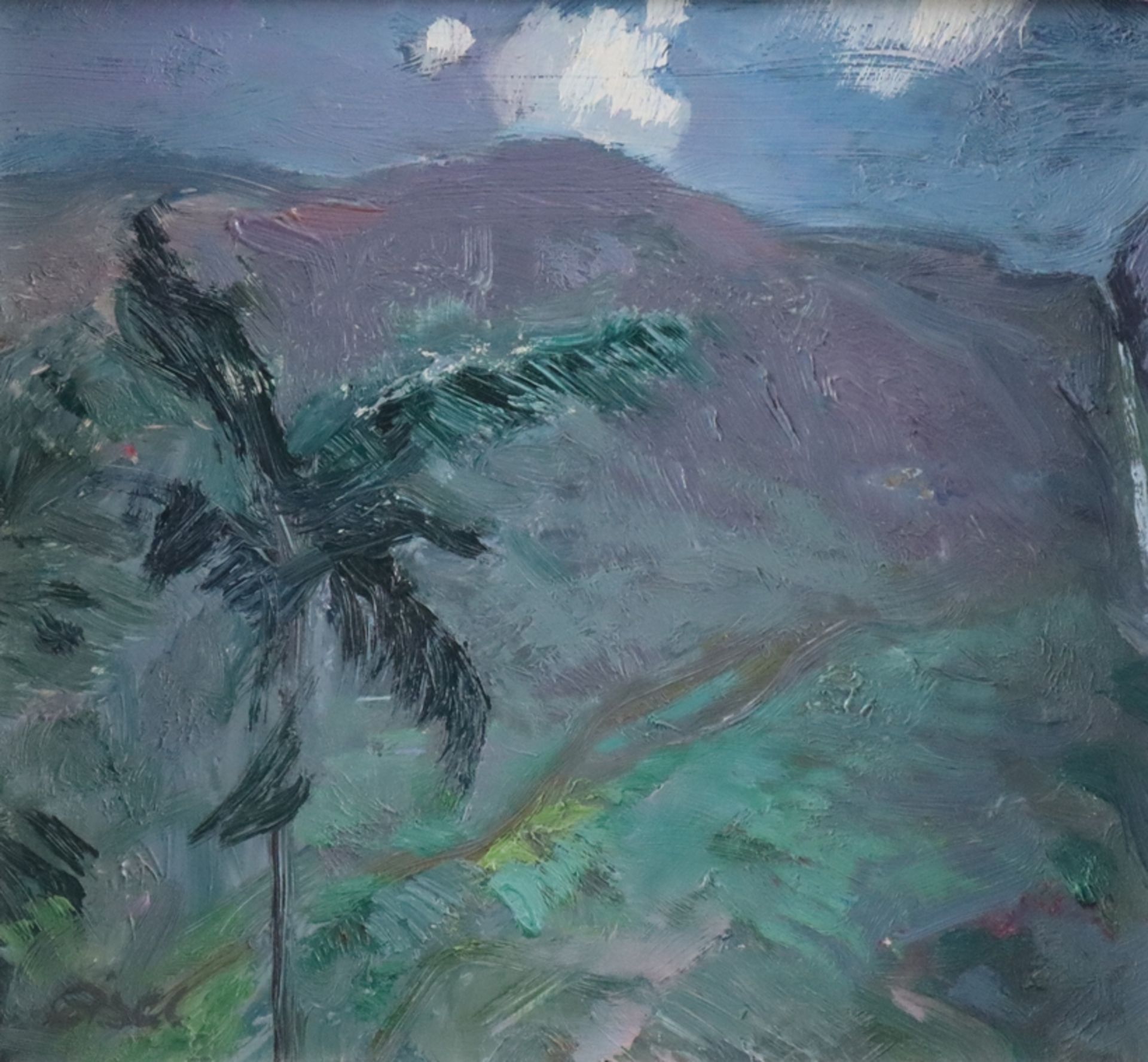 Eisel, Fritz (1929 Lauterbach/Hessen - 2010 Langen Brütz) - Ceylonesische Berglandschaft, Öl auf Ha