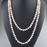 Perlenkette - Charleston-Form, bestehend aus ca.140 unregelmäßig knopfförmigen Süßwasserperlen