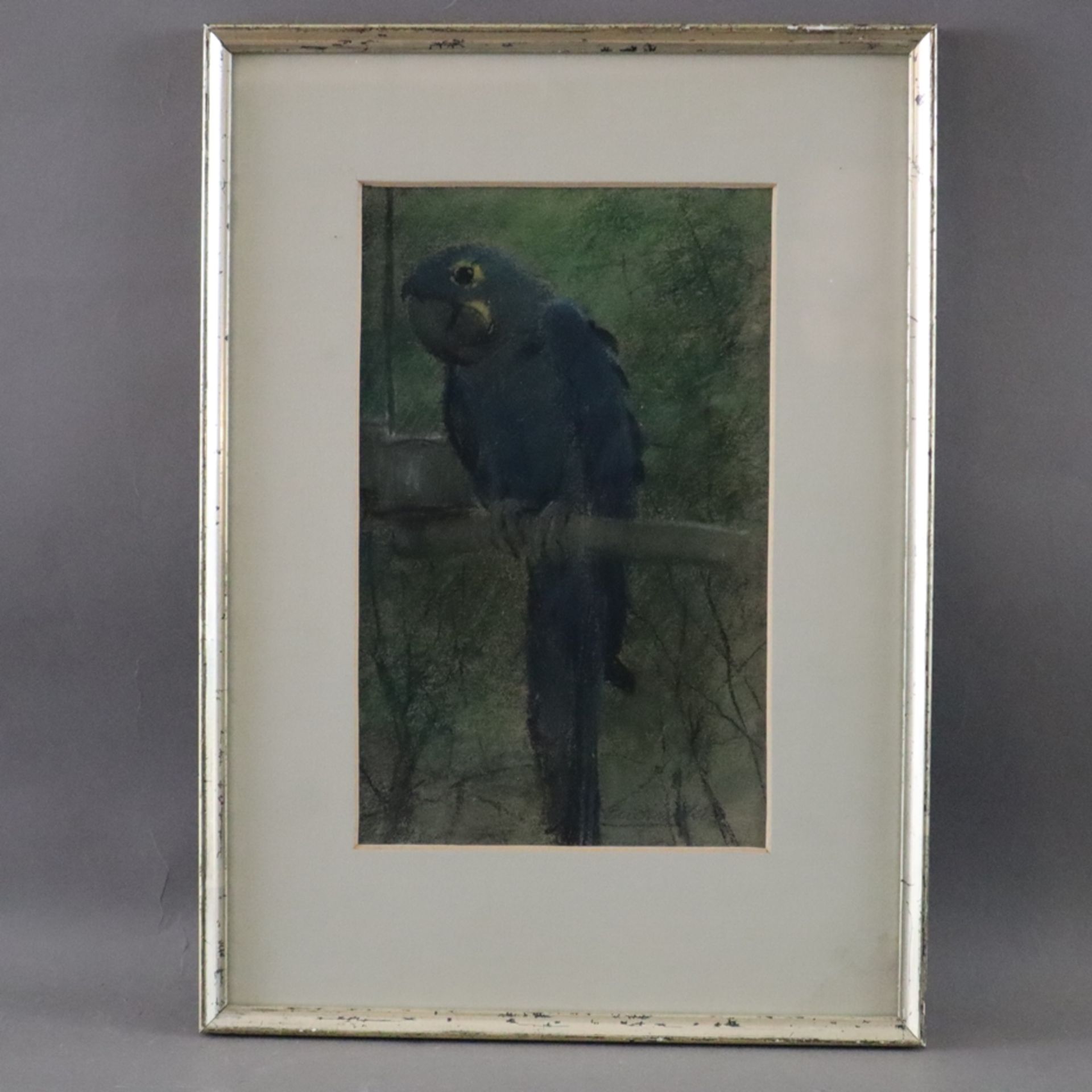 Pucinski, Viktor (1882 Posen - 1952) - Papagei, Pastellkreide auf Papier, unten rechts in Blei sign - Bild 2 aus 5
