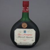 Armagnac - 1973 Baron de Sigognac Vintage Bas Armagnac, France, 70 cl 40%