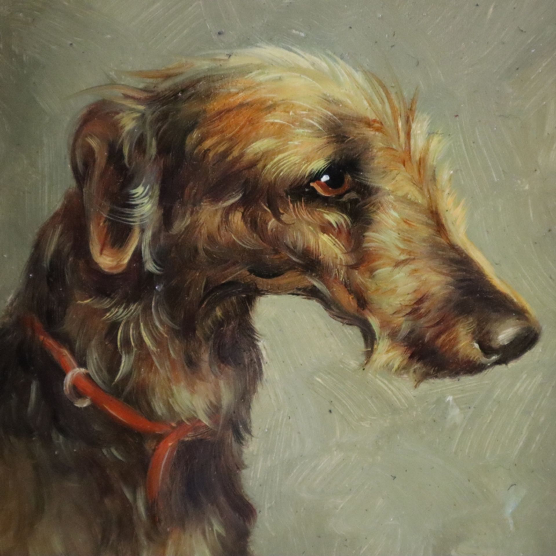 Benson -engl. Maler 20.Jh.- Drei Hundeportraits: Deerhound / Old English Shepard / Smooth Fox Terri - Bild 4 aus 5