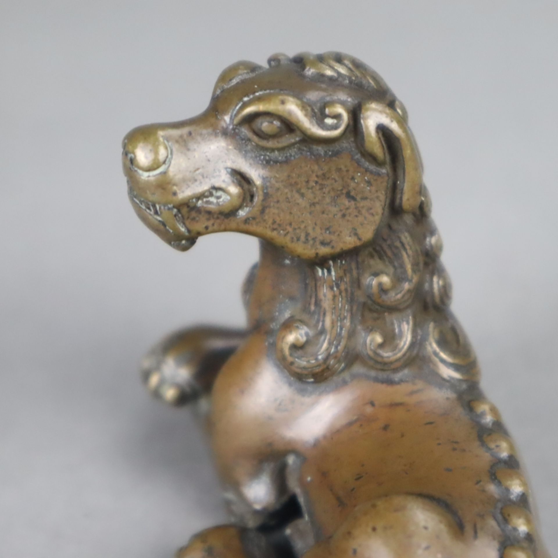 Fabelwesen "Qilin" / Paperweight - Bronze, braun patiniert, überaus detailreiche Ausführung in ents - Bild 4 aus 5