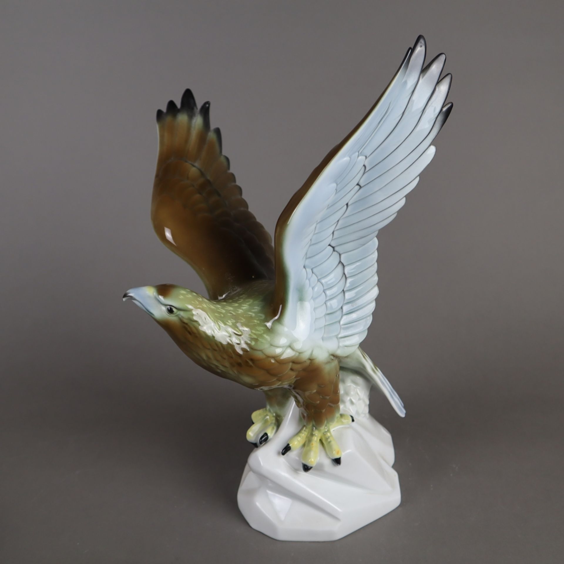 Tierplastik "Adler" - Gerold Porzellan, Tettau, polychrom bemalt, vollplastische naturalistische Da - Bild 3 aus 5