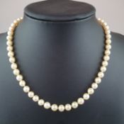 Perlenkette mit Goldschließe - einreihige Kette aus 56 Zuchtperlen mit goldfarbenem Lüster (Durchme