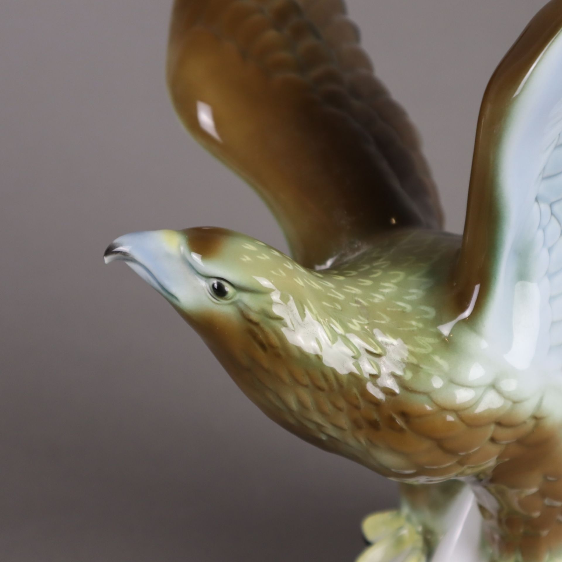 Tierplastik "Adler" - Gerold Porzellan, Tettau, polychrom bemalt, vollplastische naturalistische Da - Bild 2 aus 5