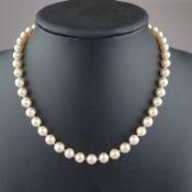 Perlenkette mit Silberschließe - champagnerfarbene Perlen mit schönem Lüster in Einzelknotung, Dm.