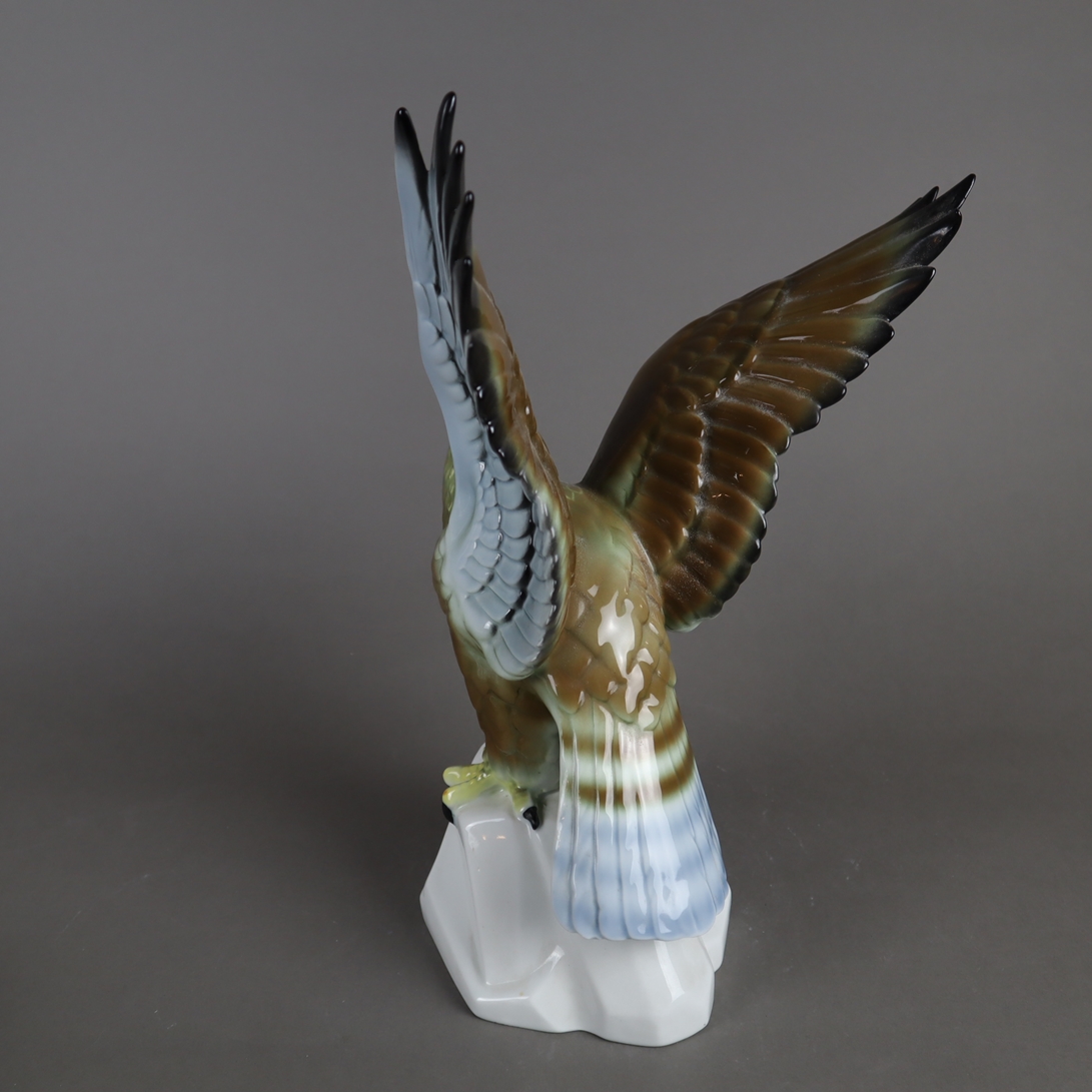 Tierplastik "Adler" - Gerold Porzellan, Tettau, polychrom bemalt, vollplastische naturalistische Da - Image 4 of 5