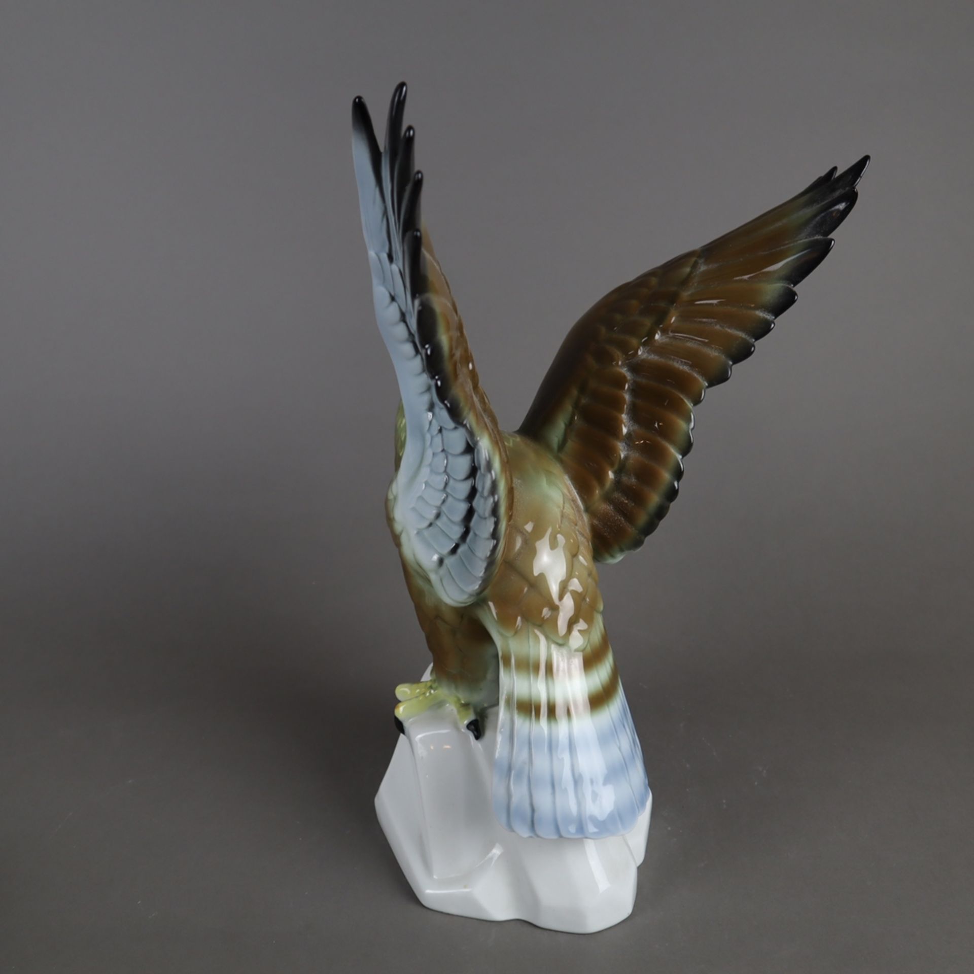 Tierplastik "Adler" - Gerold Porzellan, Tettau, polychrom bemalt, vollplastische naturalistische Da - Bild 4 aus 5