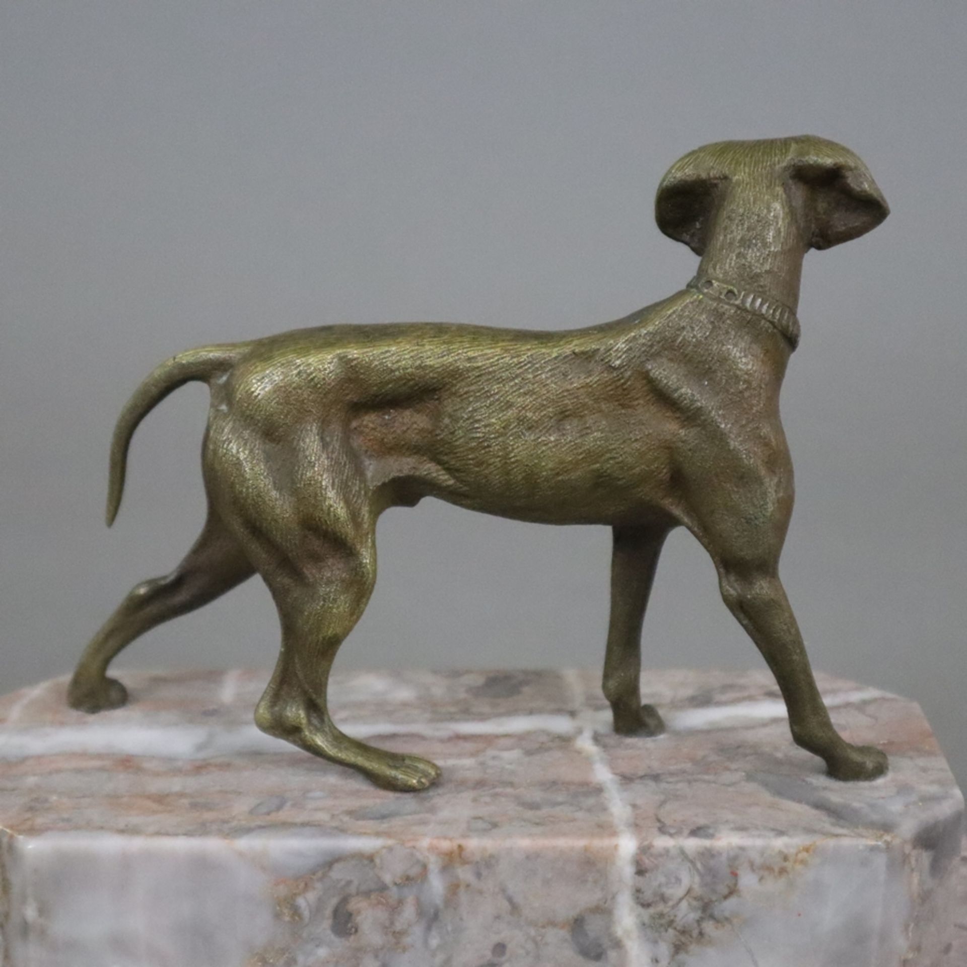 Tierskulptur "Jagdhund" - Bronze, braun patiniert, naturalistische Darstellung in bewegter Pose, na - Bild 5 aus 6