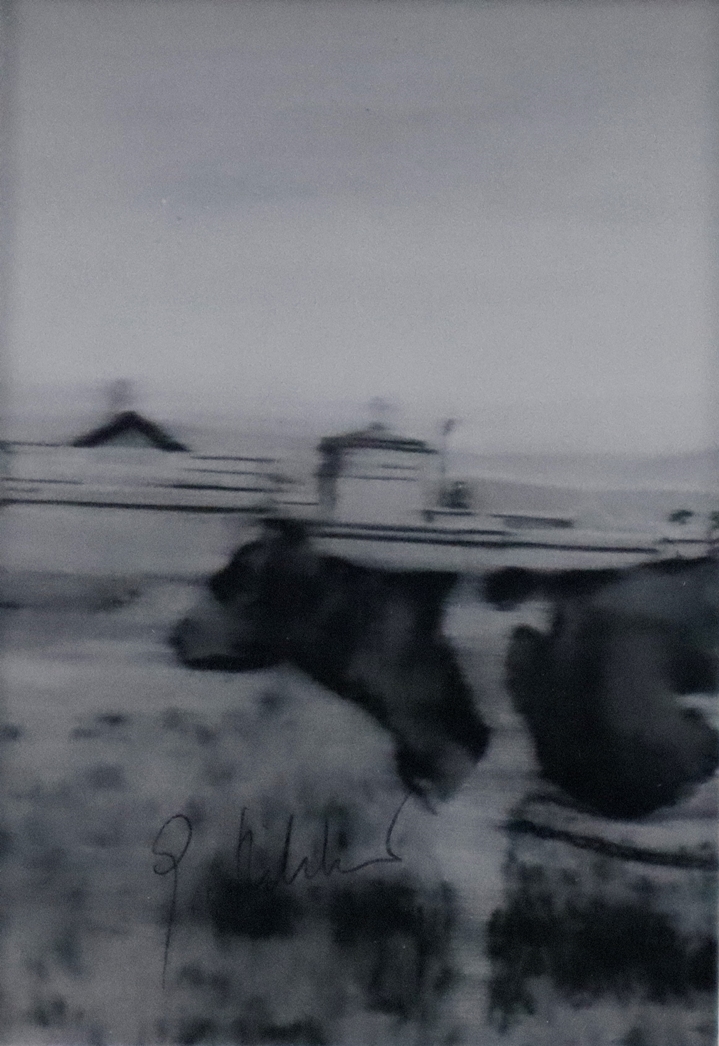 Richter, Gerhard (*1932 Dresden) - "Kuh" (1995), Multiple, handsignierte Kunstpostkarte, Sichtmaß c