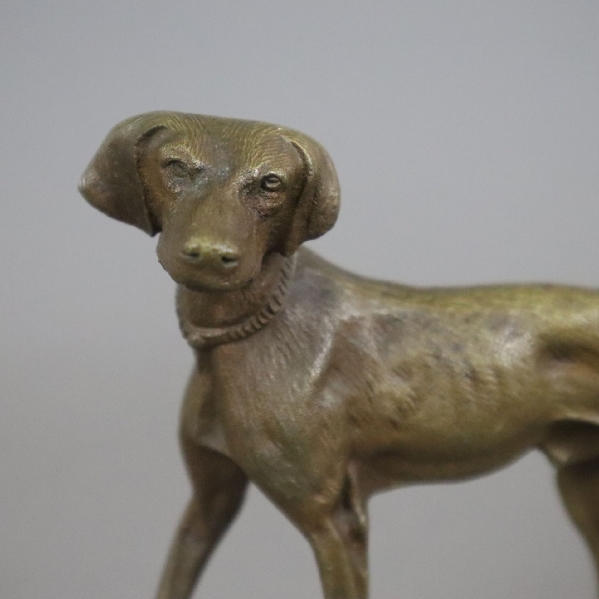 Tierskulptur "Jagdhund" - Bronze, braun patiniert, naturalistische Darstellung in bewegter Pose, na - Bild 3 aus 6