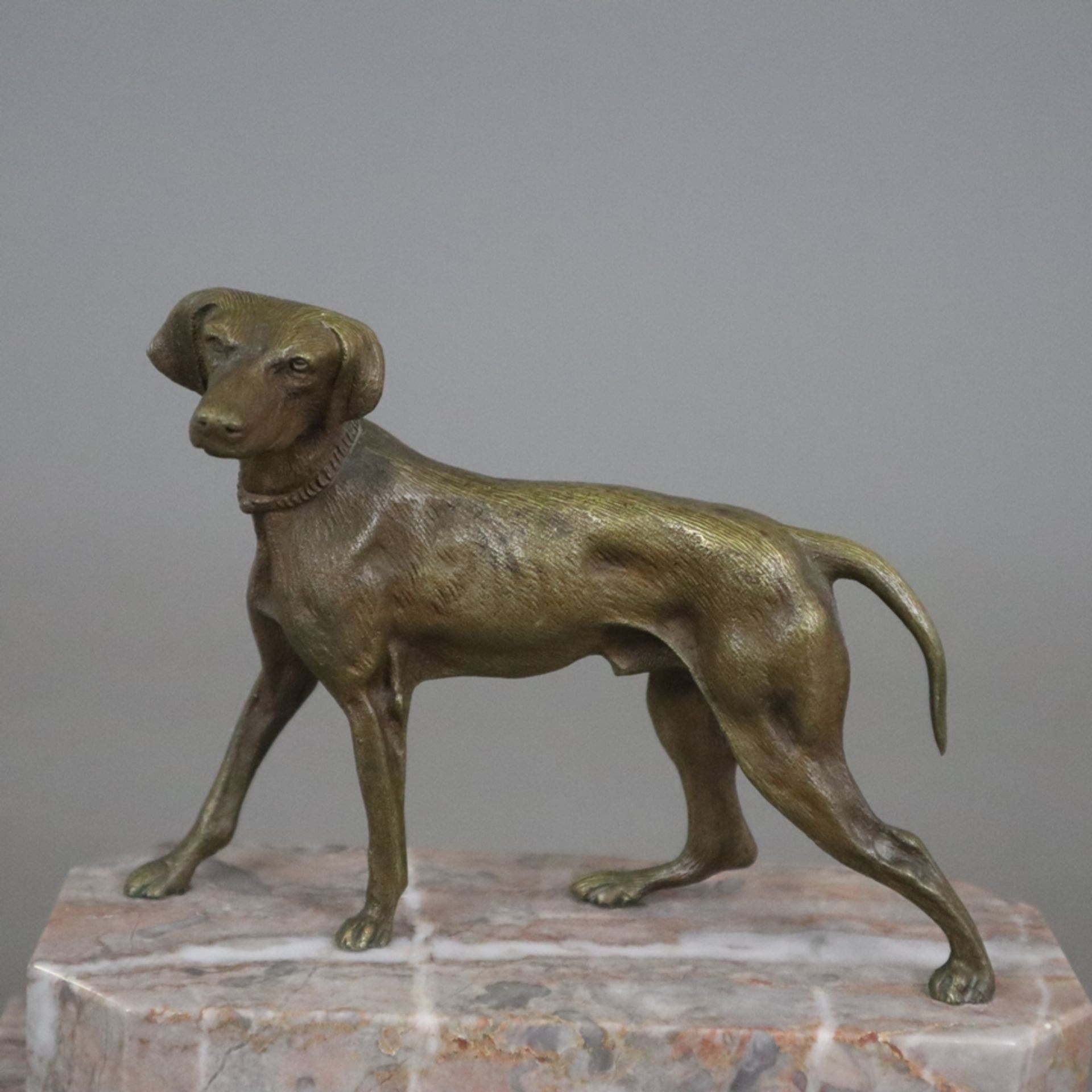 Tierskulptur "Jagdhund" - Bronze, braun patiniert, naturalistische Darstellung in bewegter Pose, na - Bild 2 aus 6