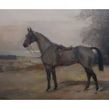 NINA COLMORE - OIL ON CANVAS - HORSE STUDY 25" X 30"