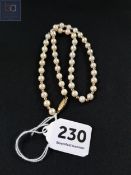 GENUINE PEARL NECKLACE WITH 9 CARAT GOLD CLASP & 9 CARAT GOLD SPACERS