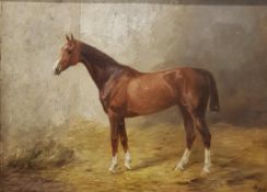 LUCY HARGREAVES - OIL ON CANVAS - HORSE STUDY 24" X 18"