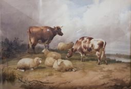 THOMAS SIDNEY COOPER - WATERCOLOUR - CATTLE & SHEEP RESTING - 36" WIDTH X 24" HEIGHT SIGNED AT