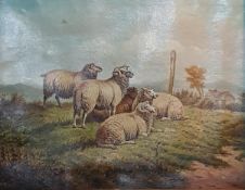 W E TURNER - OIL ON CANVAS - SHEEP AT REST 14" X 18"