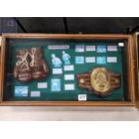 BOXING DISPLAY CASE