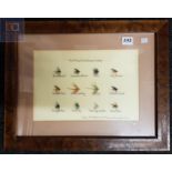 FRAMED IRISH TROUT FISHING FLIES