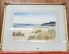 WATERCOLOUR DONEGAL - THEO GRACEY