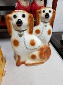 STAFFORDSHIRE WALLY DOGS WITH GLASS EYES