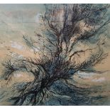 LARGE WATERCOLOUR OF A TREE