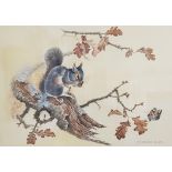 THOMAS GIBB WATERCOLOUR SQUIRREL 47CM X 34.5CM