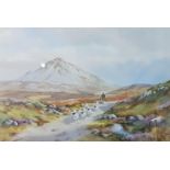 HAMILTON SLOAN WATERCOLOUR ERRIGAL 53CM X 35CM