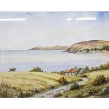 DAVID PETERS WATERCOLOUR IRISH LANDSCAPE 47CM X 37CM