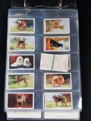 ALBUM OF CIGARETTE CARDS AND EXTRAS